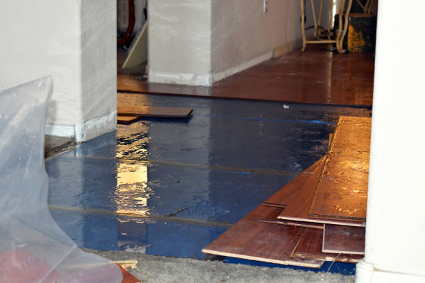 Professional Basement Flood Cleanup technician working in Saratoga, IN